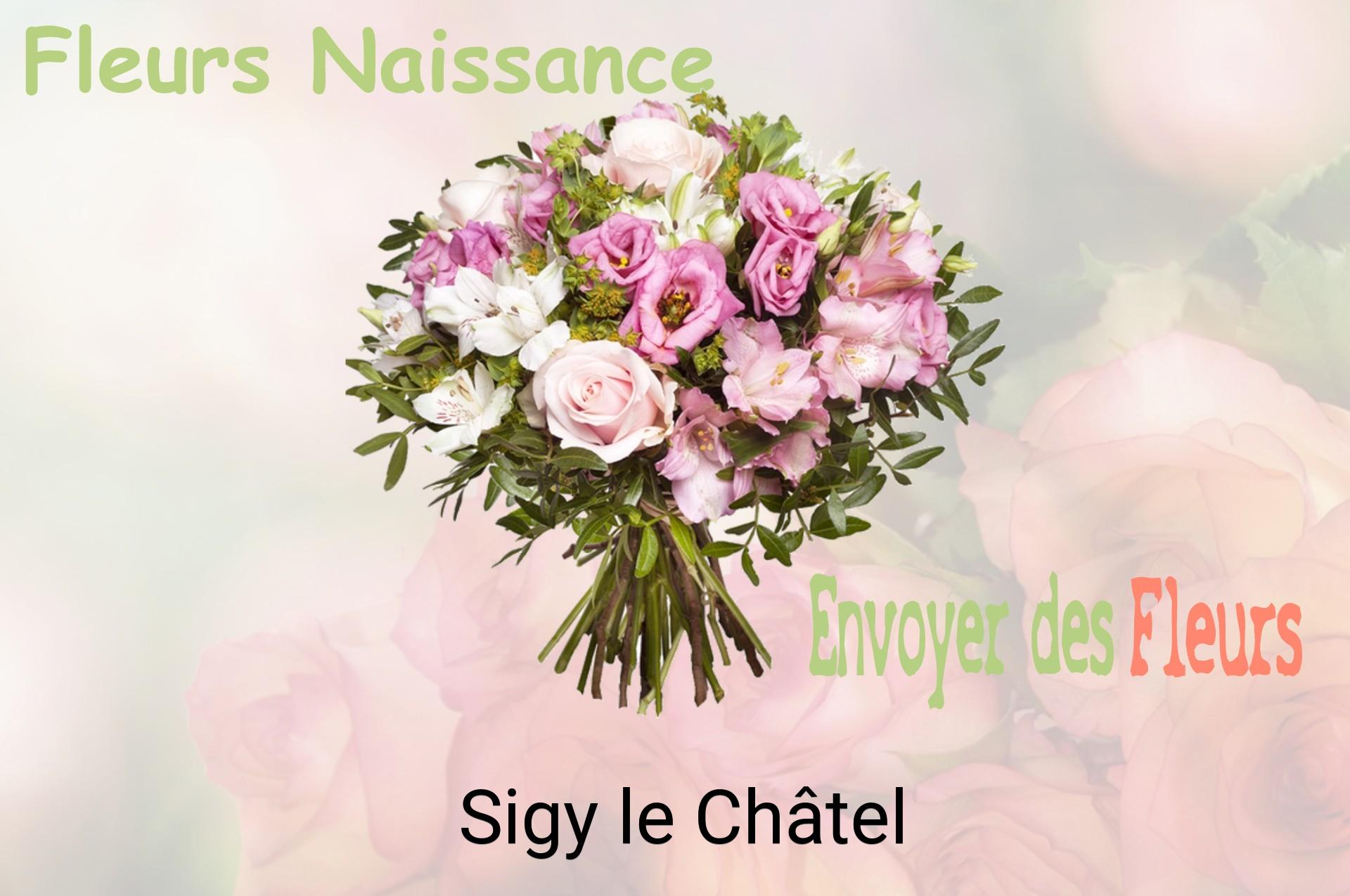Bouquet de fleurs de naissance livré à Sigy-le-Châtel